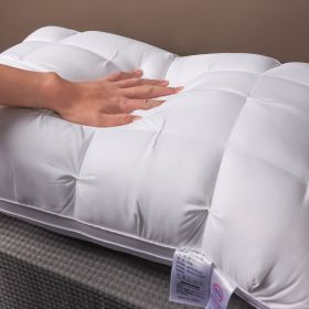 Whtie And Brown Premium Soft Luxury Bed Pillows - Queen-Sized Hypoallergenic Polyester Cover - Ergonomic Design For Back, Stomach Or Side Sleepers, De (Option: White)